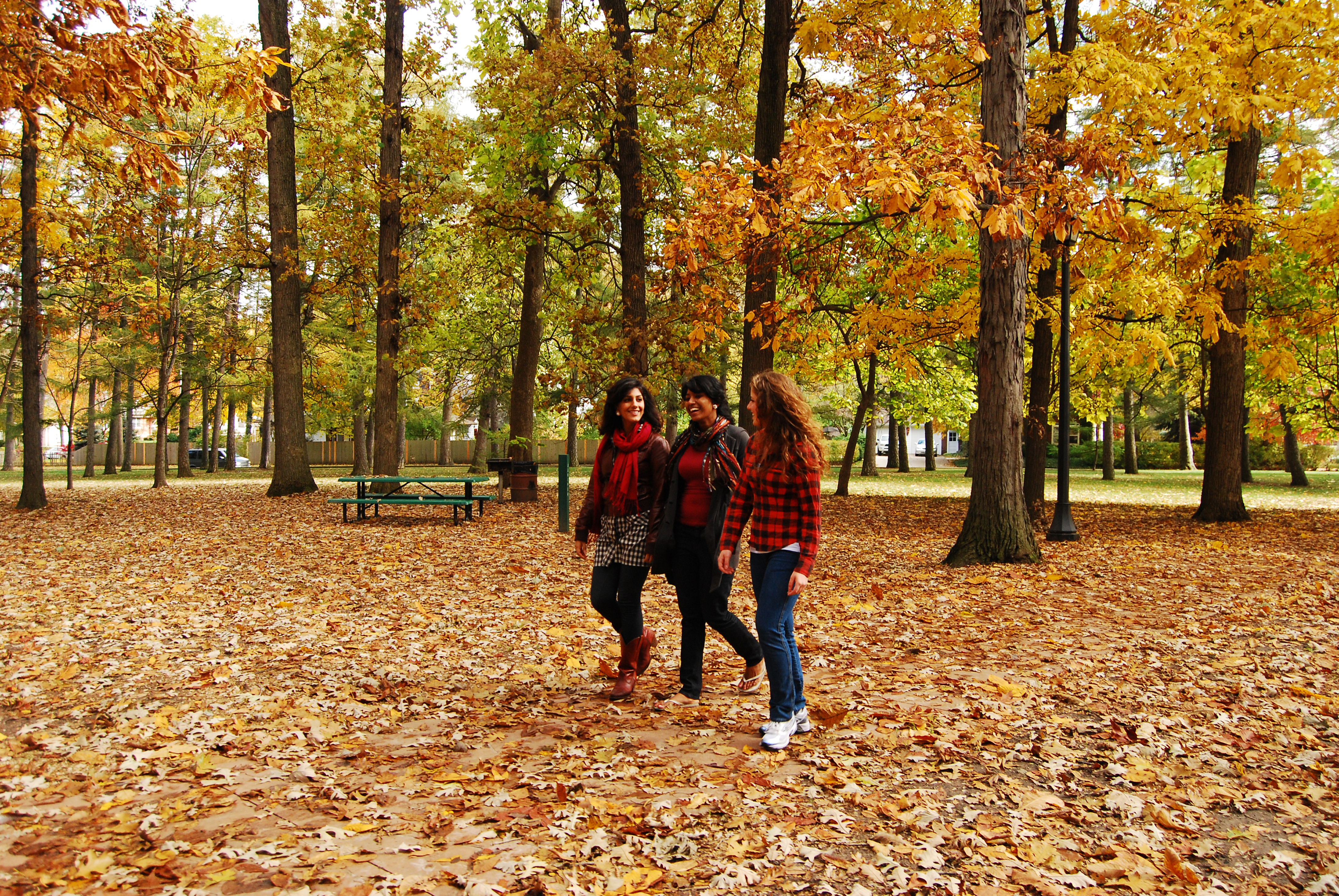 Students strolling through Illini Grove