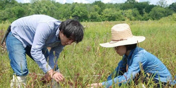 Two people working in a field