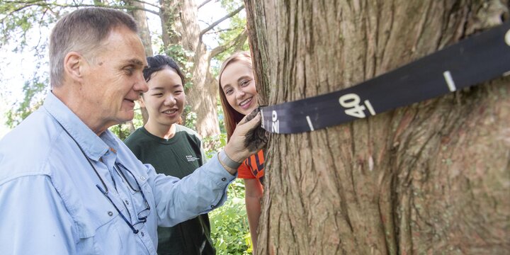 Professor measuring a tree with two of their students.