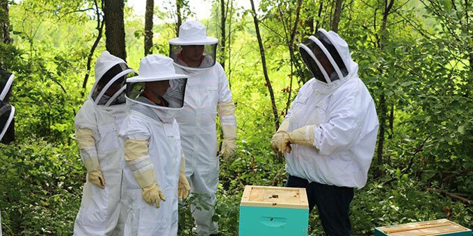 Students tending to a bee hive.