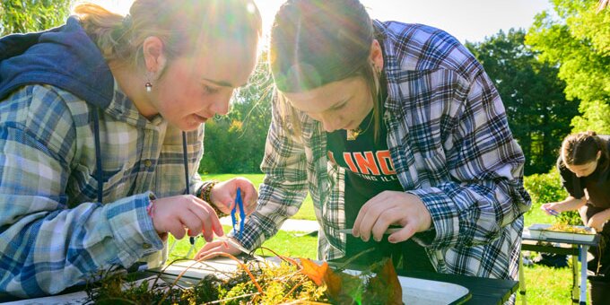 Students examining forage
