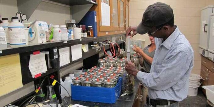 NRES student working in a lab