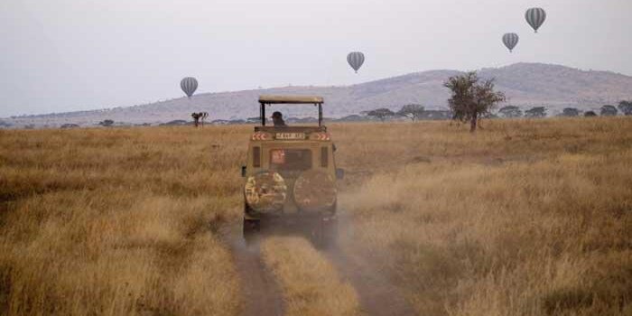 Hot air balloons on the horizon