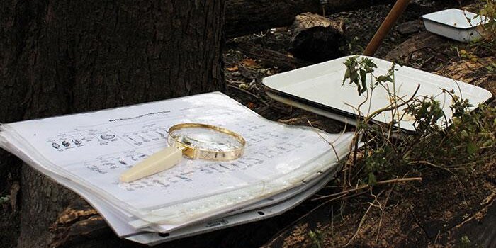 Magnifying glass laying on a stack of papers