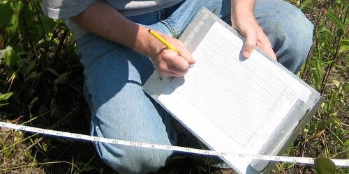 Student taking notes outside.