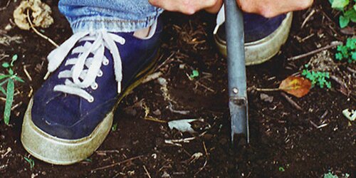 Student digging in soil.